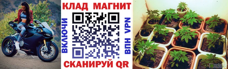 Все наркотики Мариинский Посад Канабис  СК  ГАШИШ  Галлюциногенные грибы  COCAIN  АМФЕТАМИН 