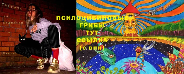 герыч Богородск