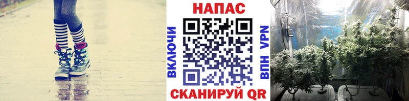 hydra ONION  Мариинский Посад  Канабис VHQ  цены наркотик 